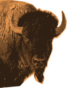 cutout of a bison face