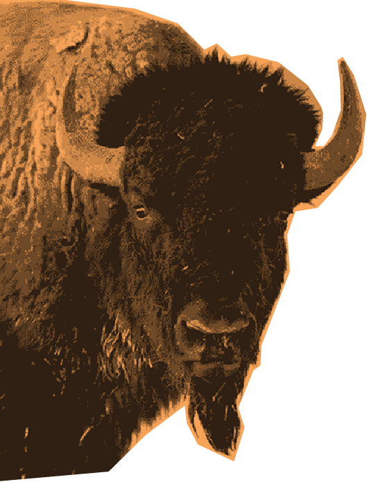 cutout of a bison face